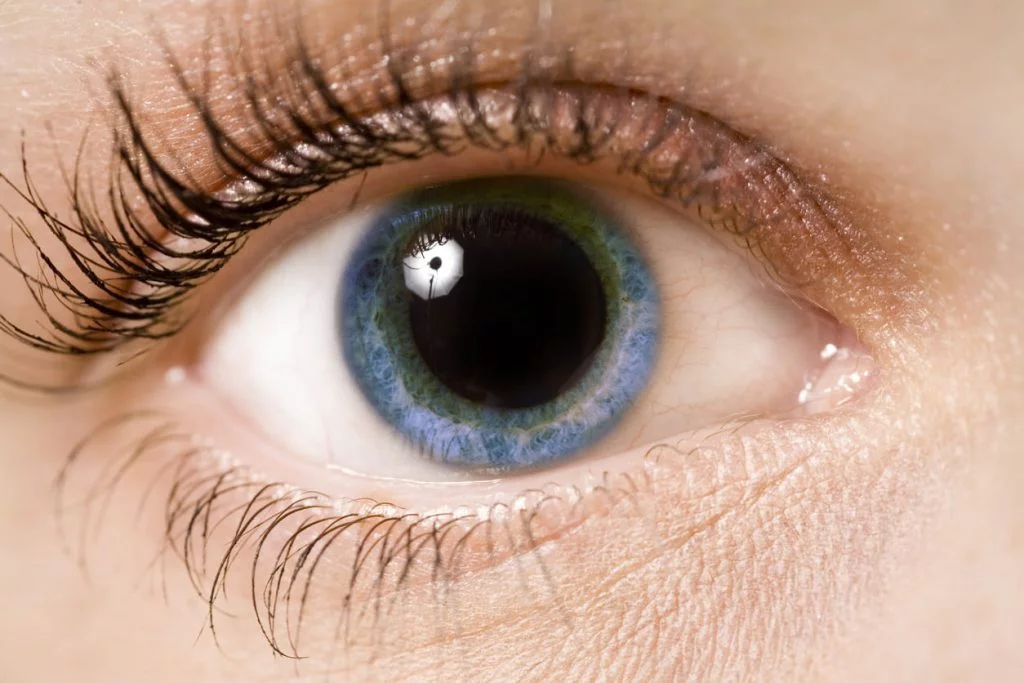 Do Pupils Dilate When You Like Someone? What Science Says